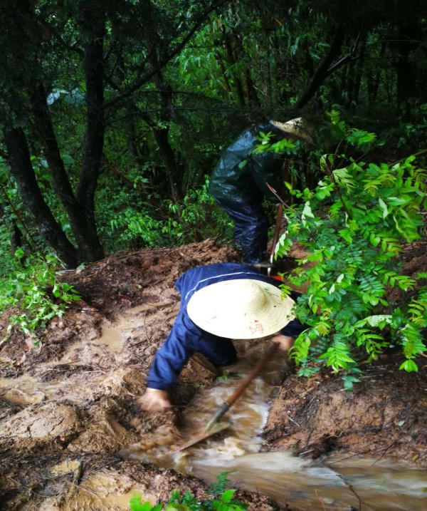 风雨里，成绵养护人为你保驾护航
