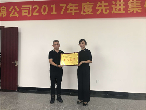 成绵公司召开2017年度先进集体和先进个人表彰会