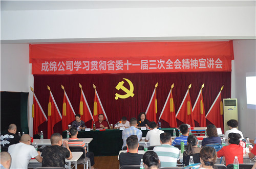 成绵公司召开学习贯彻省委十一届三次全会精神宣讲会