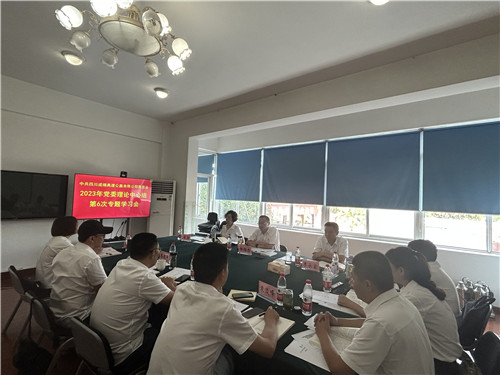 成绵公司党委召开2023年党委理论学习中心组第6次专题学习会