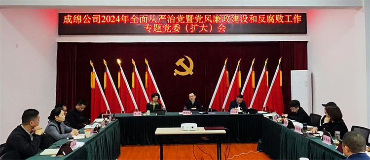 成绵公司召开2024年全面从严治党暨党风廉政建设和反腐败工作专题党委（扩大）会