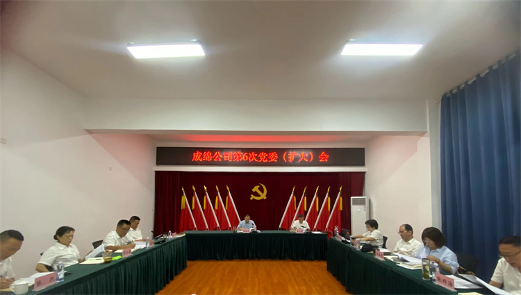 成绵公司召开2024年第6次党委（扩大）会