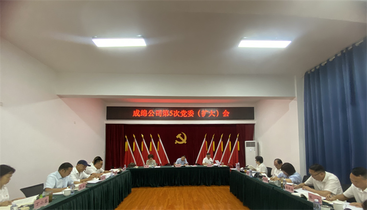 成绵公司召开2024年第5次党委（扩大）会