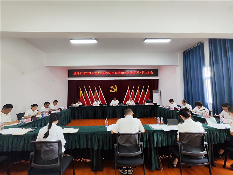 成绵公司召开党委理论学习中心组第6次专题学习（扩大）会